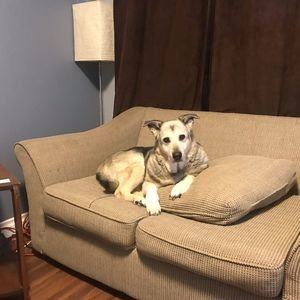 Meet your Posher, Crystal